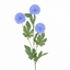 Kiku Spray - Blue