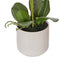 Phalaenopsis Orchid Pot - 56cm