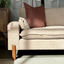Barba Sofa – Beige Cord