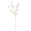 Cosmos Flower Spray - White