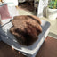 NZ Sheepskin - Chocolate Brown