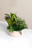 Harlow Planter - Beige