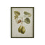 Pyrus Framed Art Print A - 45x60cm