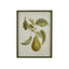 Pyrus Framed Art Print B - 45x60cm