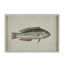 Pez Glass Art A - 50x35cm