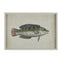 Pez Glass Art B - 50x35cm