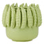 Piselli Pot