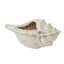Conch Shell Pot - White