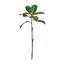 Magnolia Leaf Spray - 59cm