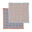 Kit Recycled Cotton Dishcloth Set - Blue