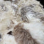 Sheepskin Beanbag - Lhasa