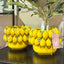 Limone Pot
