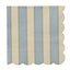 Carnival Paper Napkins - Blue