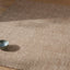 Kaia NZ Wool Rug - Mocha 200x300