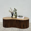 Luna Coffee Table
