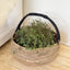 Nala Harvest Basket - Small