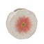 Jardin Vase