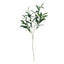 Olive Stem w Fruit - 125cm