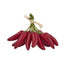 Chilli Bunch