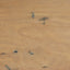 Olma Coffee Table