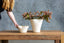 Olma Coffee Table