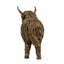 Highland Cattle Statuette