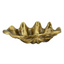 Decorative Gold Clam