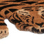 Doormat - Sleeping Tiger