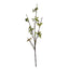 Berry Branch Stem
