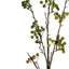 Berry Branch Stem