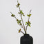 Berry Branch Stem