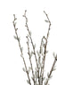 Willow Bundle