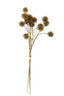 Sweet Chestnut Pod  Bundle - Brown