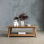 Sleek Coffee Table