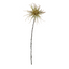 Spider Mum Stem - Khaki Green
