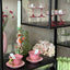 Jardin Teacup + Saucer