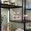 Clara Coupe Glass - Set of 2