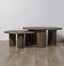 Vintage Mango Wood Coffee Table - Tall