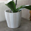 Aster Striped Pot - Large