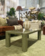 Wade Coffee Table - Green