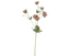 Anemone Antique - Mauve 95cm