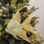 Angel Fish Hanging Decoration