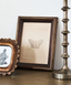 Butterfly Study Wall Art - 20x25cm