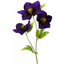 Christmas Rose - Purple 43cm