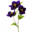 Christmas Rose - Purple 43cm