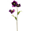 Christmas Rose - Purple 43cm