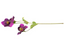 Christmas Rose - Purple 43cm