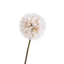 Dandelion Stem - Natural