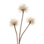 Dandelion Spray - Natural + Brown