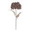 Dried Look Hydrangea - Mocha 70cm